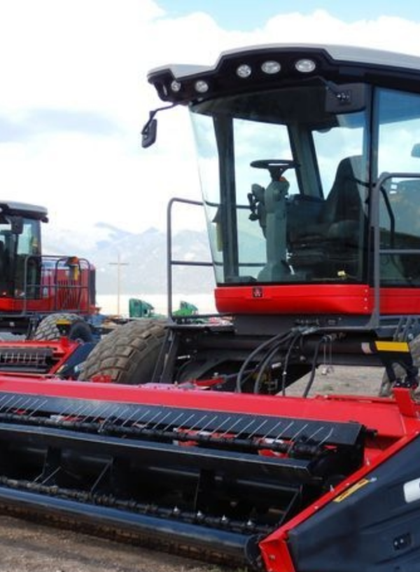 2016 Massey Ferguson WR9840 - Image 2